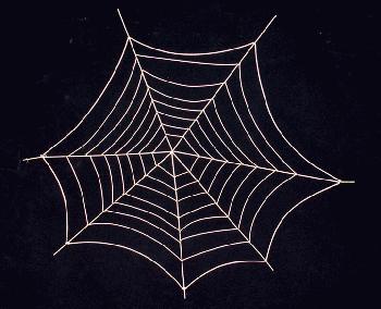 SPIDER-WEB.jpg (19891 bytes)