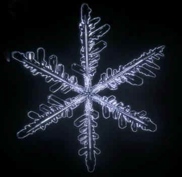 snowflake2.JPG (16375 bytes)